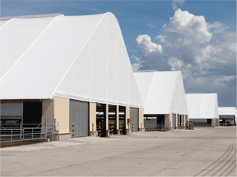 Built for the Elements: What Makes a Building Truly Weather-Resistant